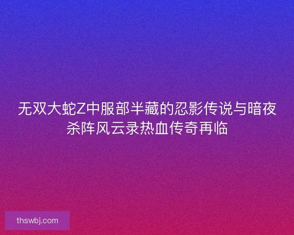 无双大蛇Z中服部半藏的忍影传说与暗夜杀阵风云录热血传奇再临